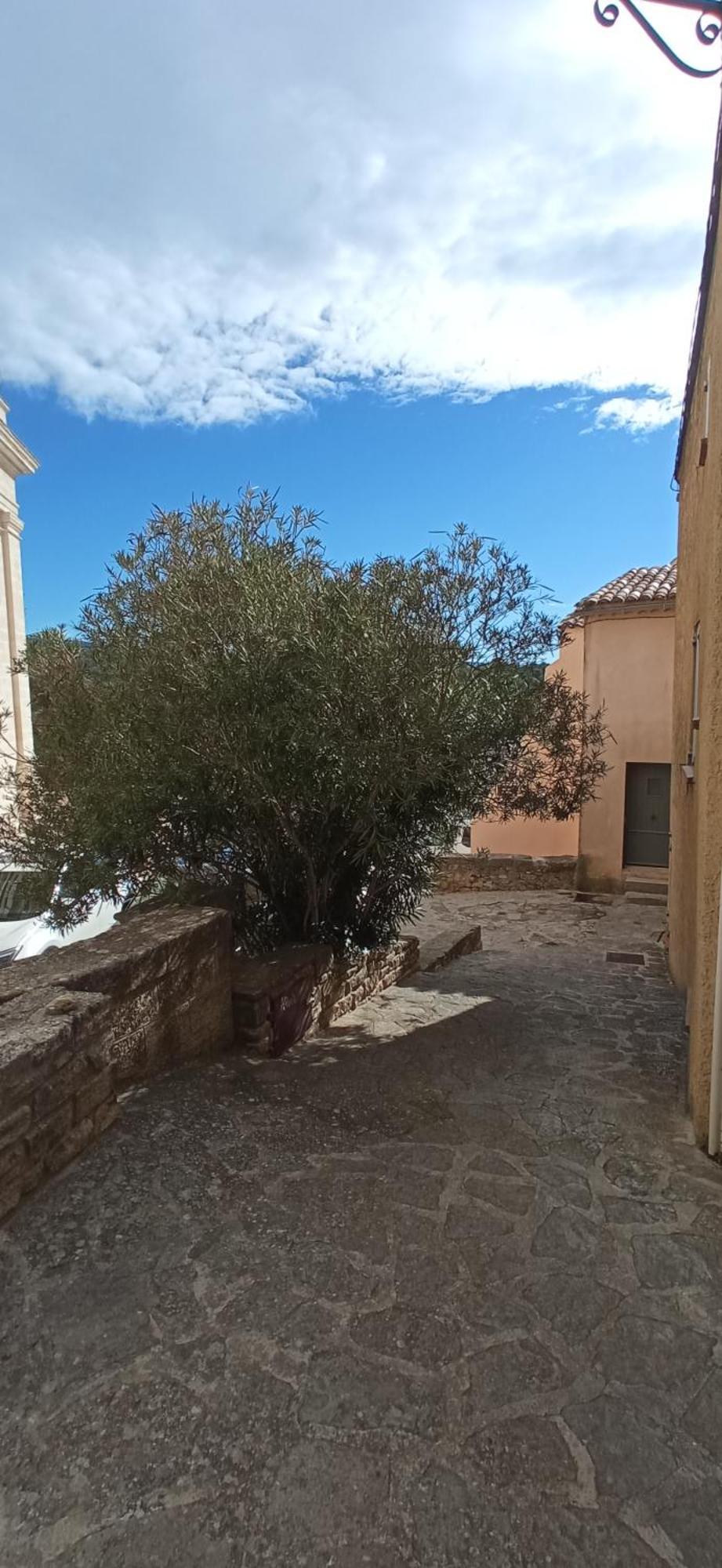 Studio Tout Confort En Provence Mont Ventoux. Bédoin Exterior foto