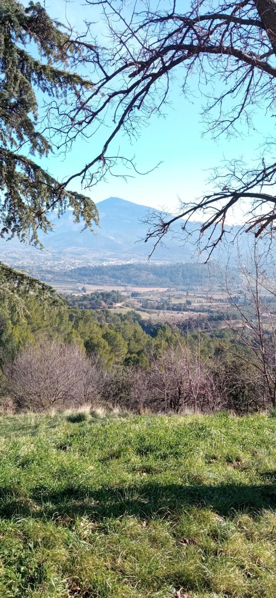 Studio Tout Confort En Provence Mont Ventoux. Bédoin Exterior foto