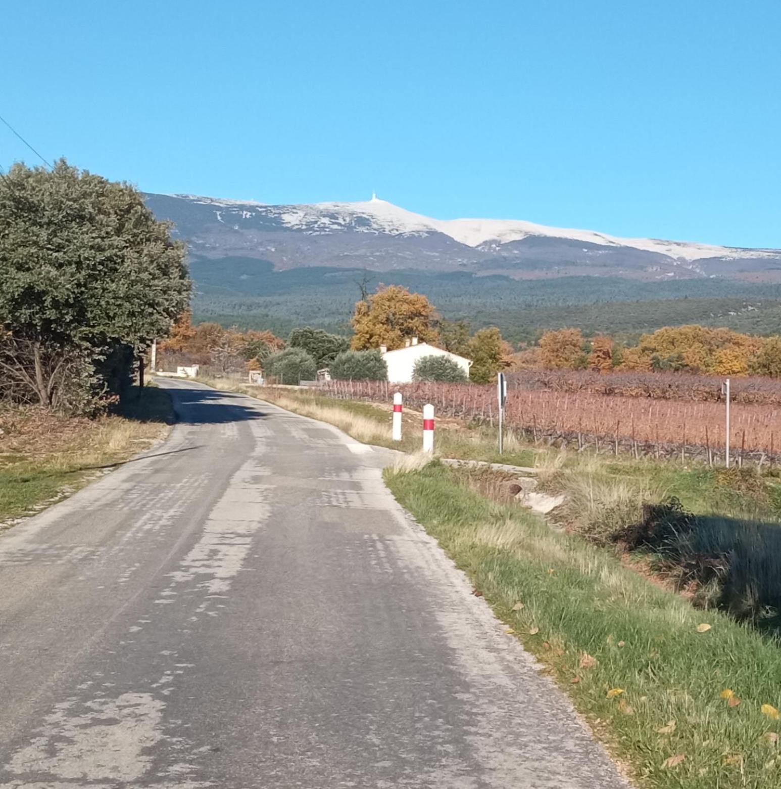 Studio Tout Confort En Provence Mont Ventoux. Bédoin Exterior foto
